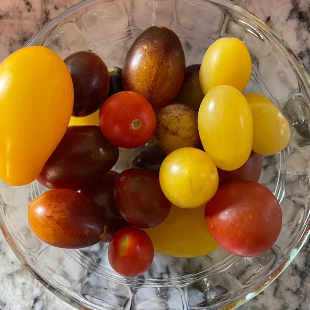 Meet your Posher, Ivy